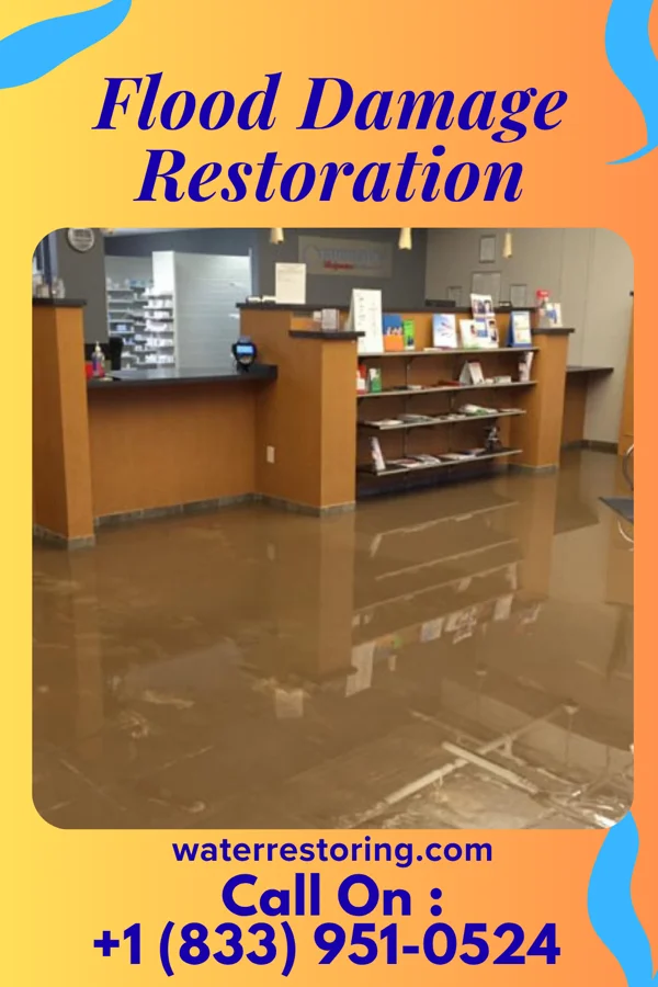 Flood Damage Restoration in McKinley Heights, OH