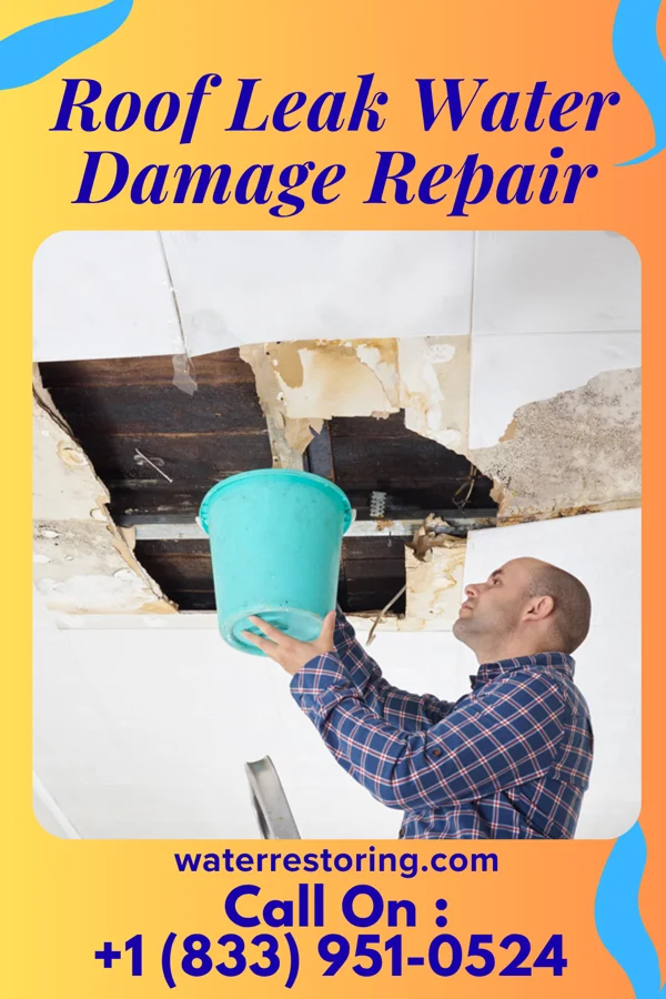 Roof Leak Water Damage Repair in McKinley Heights, OH