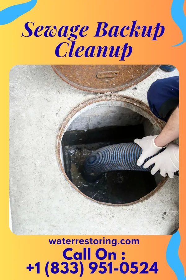 Sewage Backup Cleanup in McKinley Heights, OH